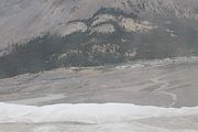 34 - Columbia Icefield - IMG_1007
